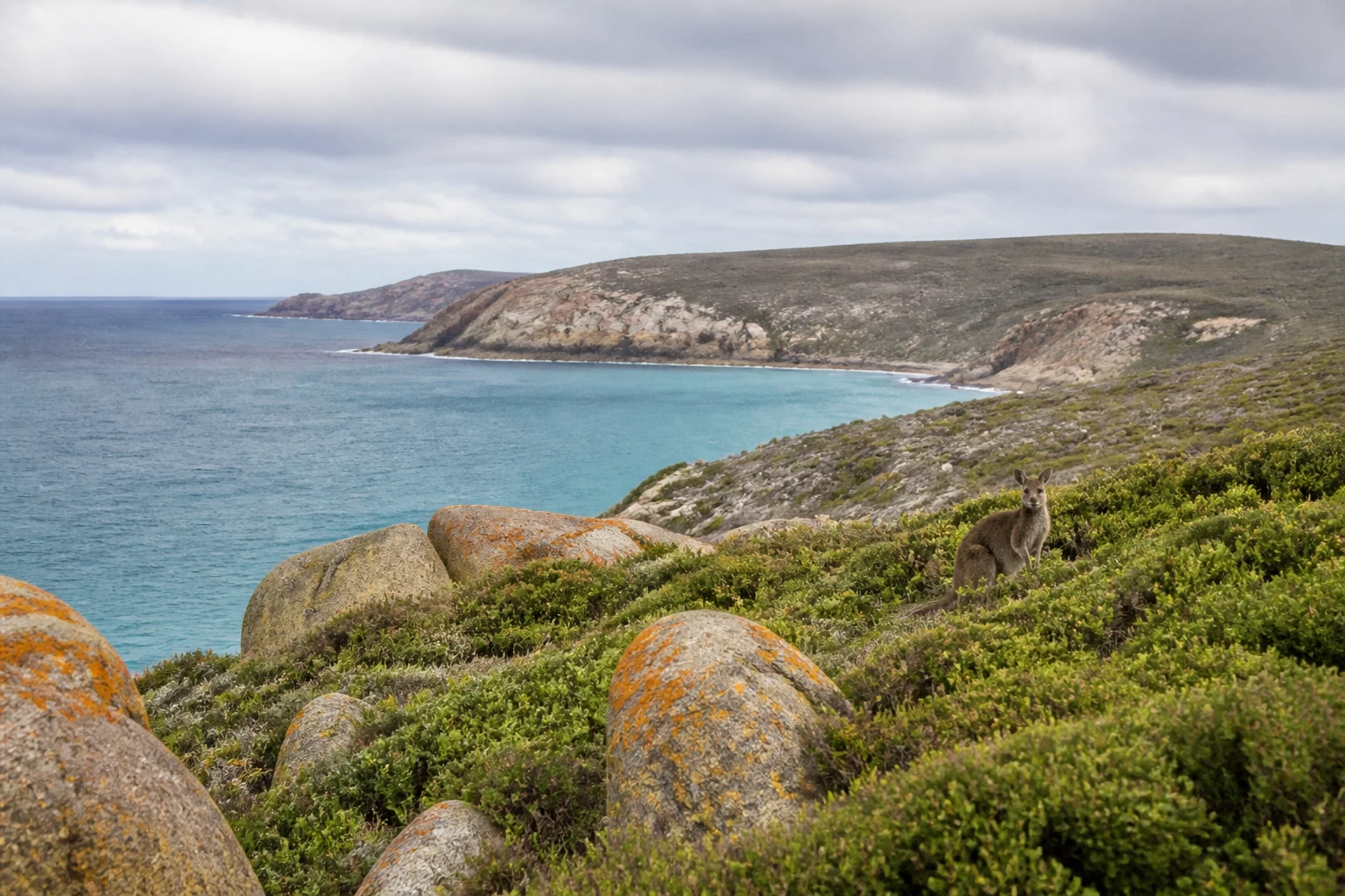 Representative island destination view: Kangaroo Island, Australia; regional wildlife habitat and native vegetation, not an exact landmark photograph.