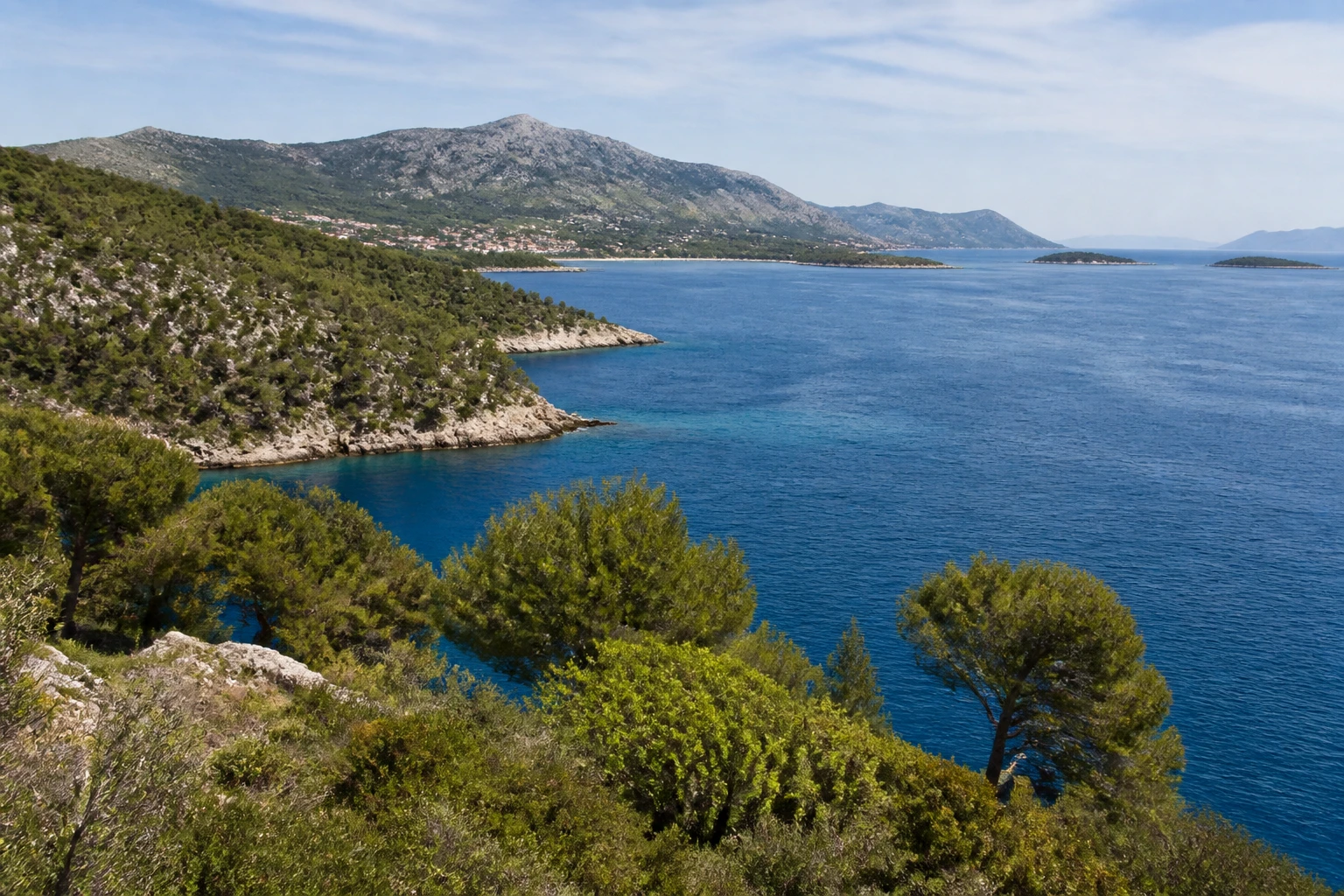 Representative island destination view: Hvar, Croatia; coastline and regional vegetation, not an exact landmark photograph.