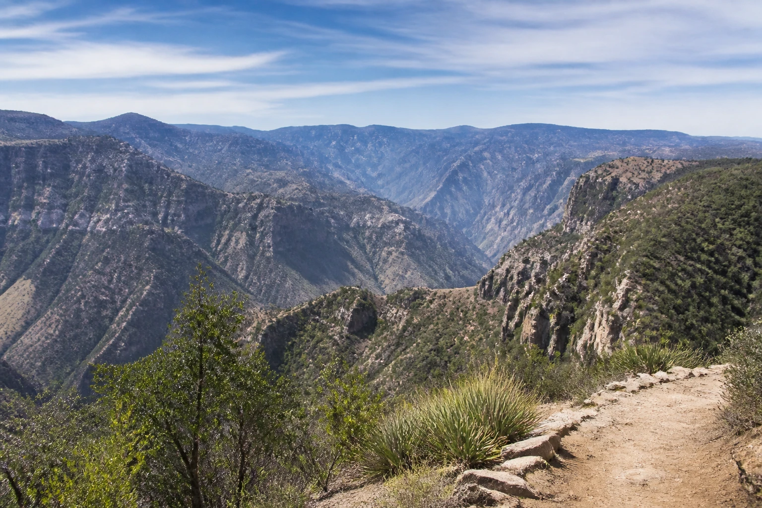Representative nature destination view: Copper Canyon, Mexico; mountain or canyon terrain and regional vegetation, not an exact landmark photograph.