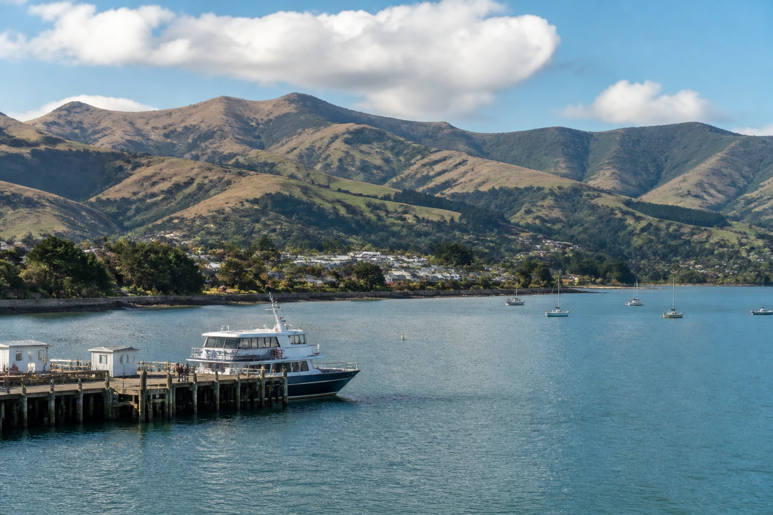 Representative cruise port destination view: Akaroa, New Zealand; passenger waterfront and harbor water, not an exact landmark photograph.