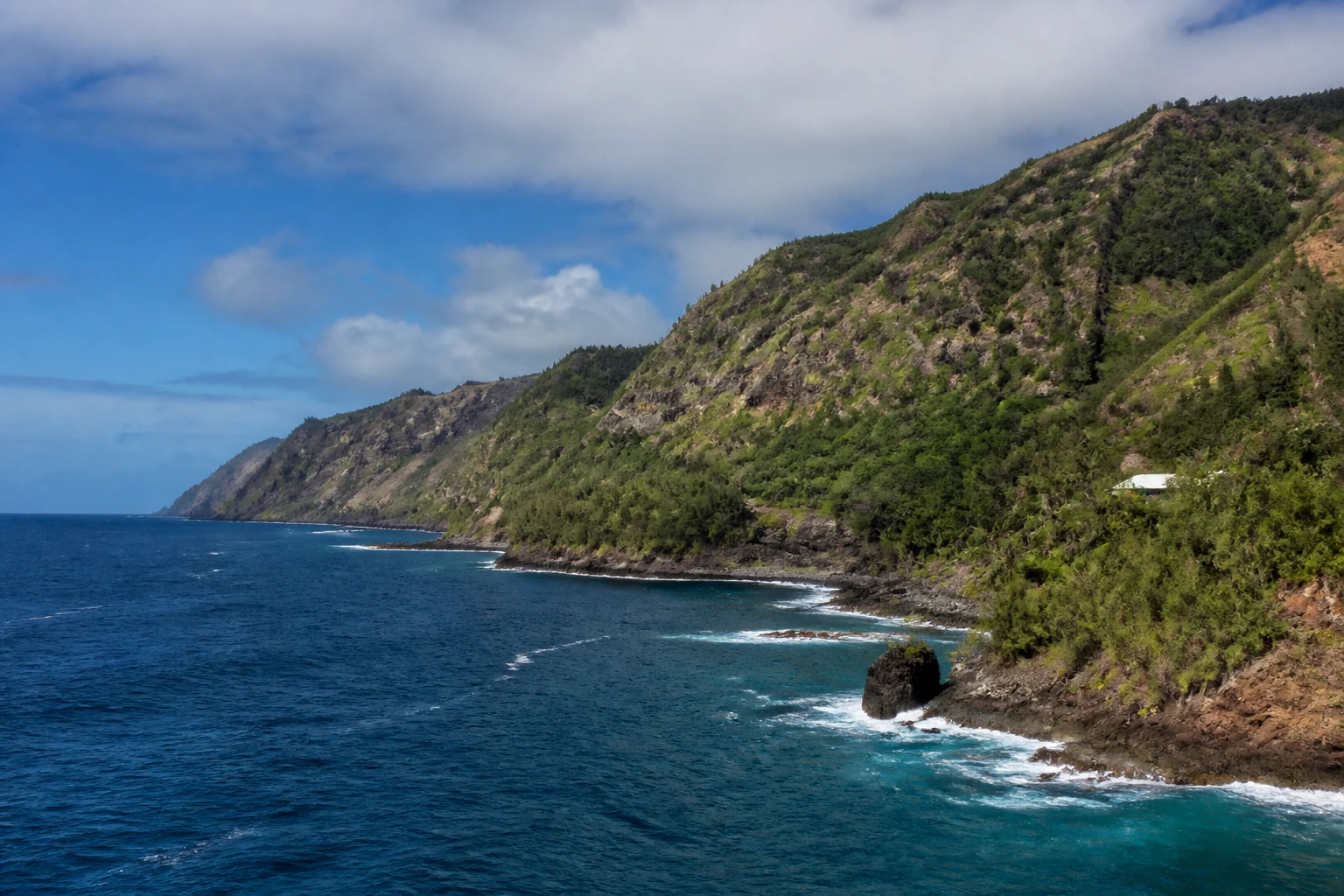 Representative cruise port destination view: Pitcairn Island; coastline and regional vegetation, not an exact landmark photograph.