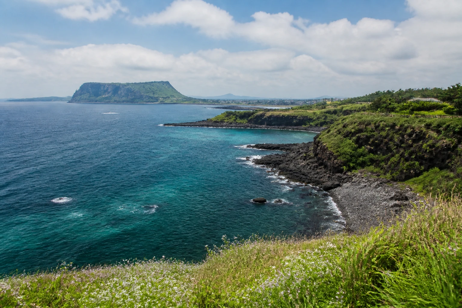 Representative island destination view: Jeju Island, South Korea; coastline and regional vegetation, not an exact landmark photograph.
