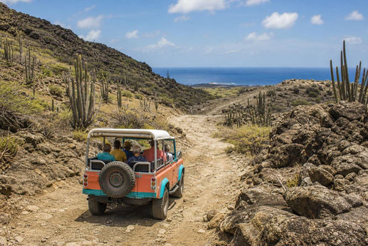 Unbranded colorful 4x4 traveling through cactus-covered desert terrain in Arikok National Park, Aruba