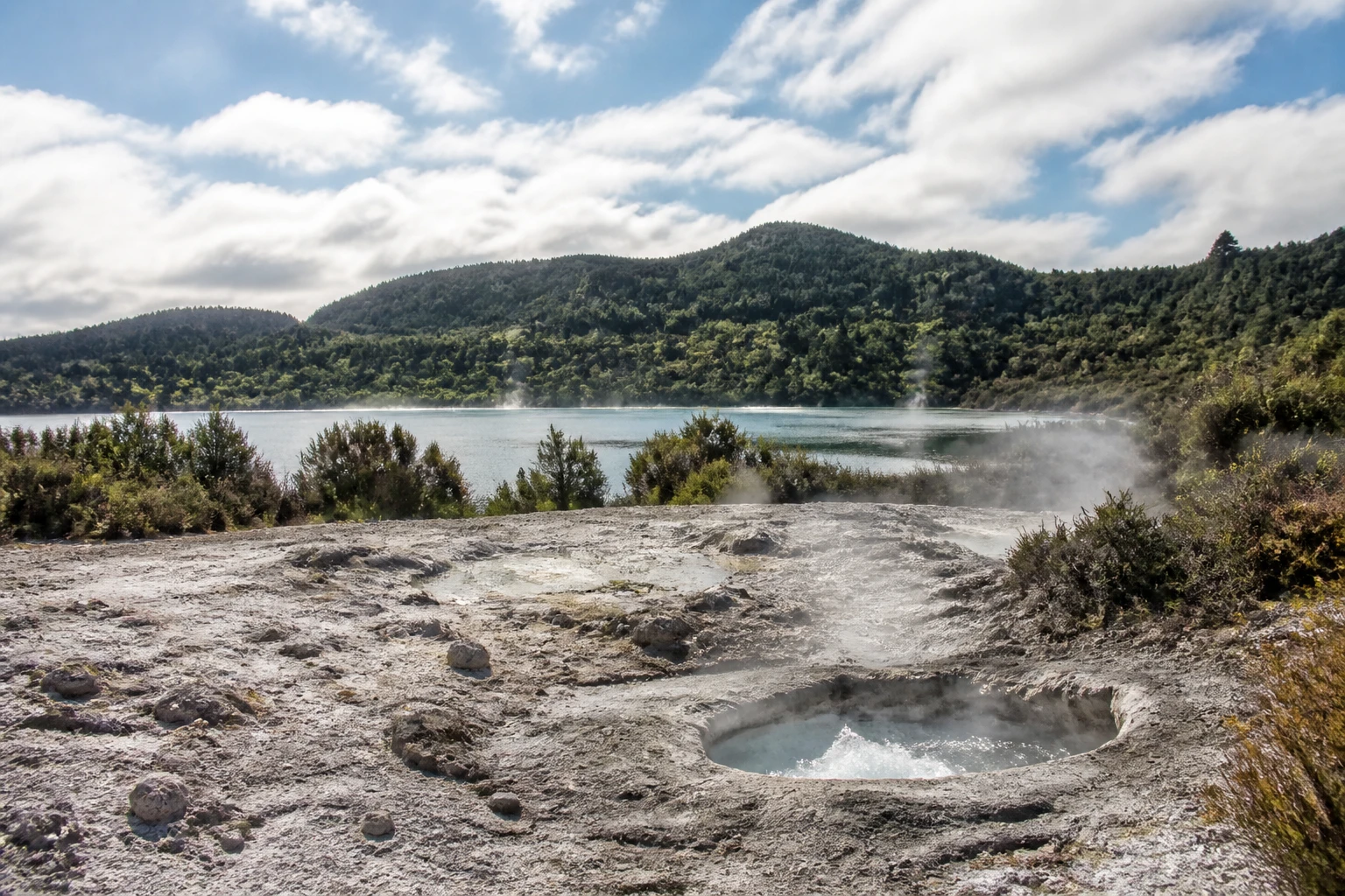 Representative nature destination view: Rotorua, New Zealand; geothermal terrain, forest, and a lake setting, not an exact landmark photograph.