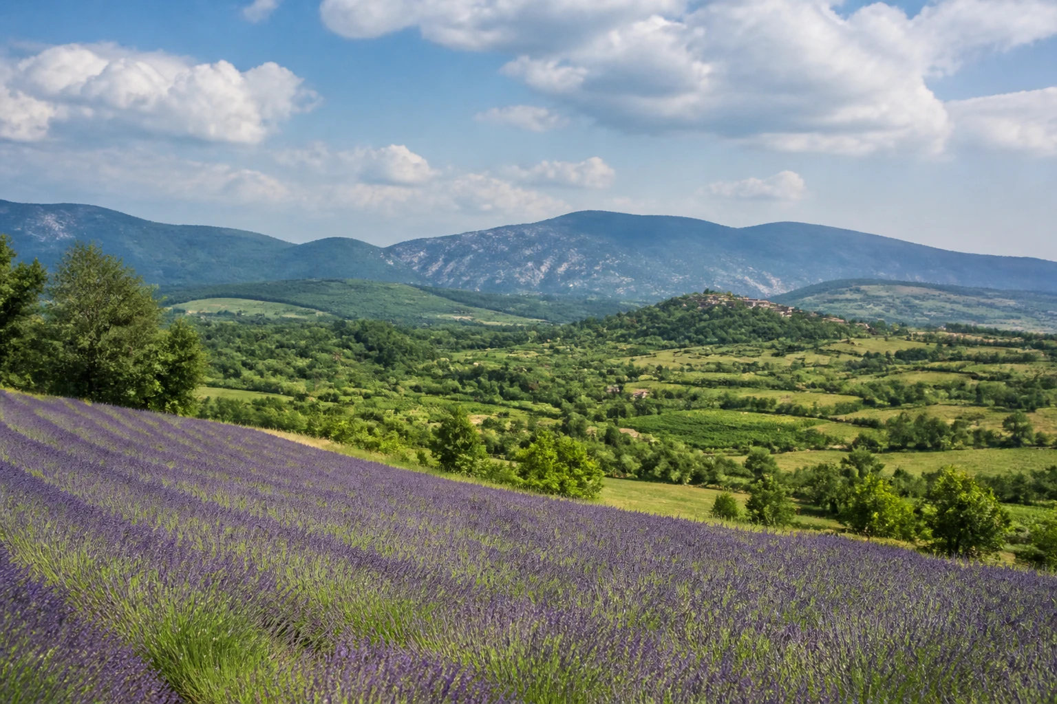 Representative nature destination overview of Provence in France, showing regional terrain, vegetation, and natural light rather than an exact landmark view.
