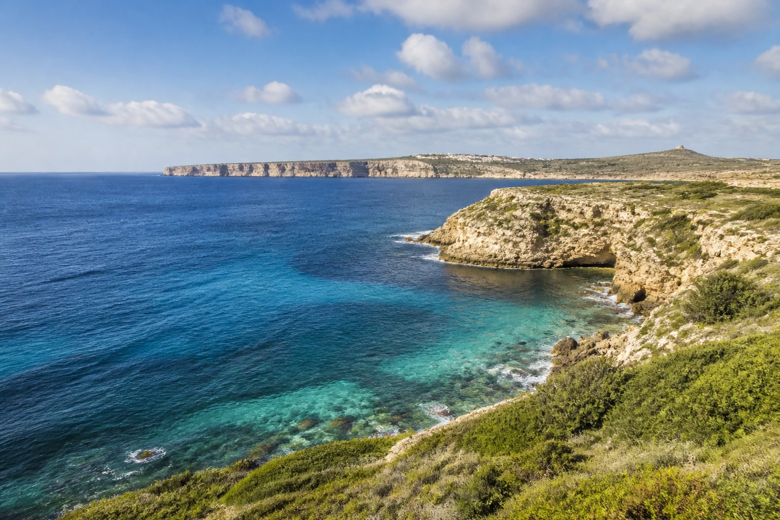 Representative island destination view of Malta, with coastline, shoreline geology, regional vegetation, and natural light; not an exact landmark photograph.