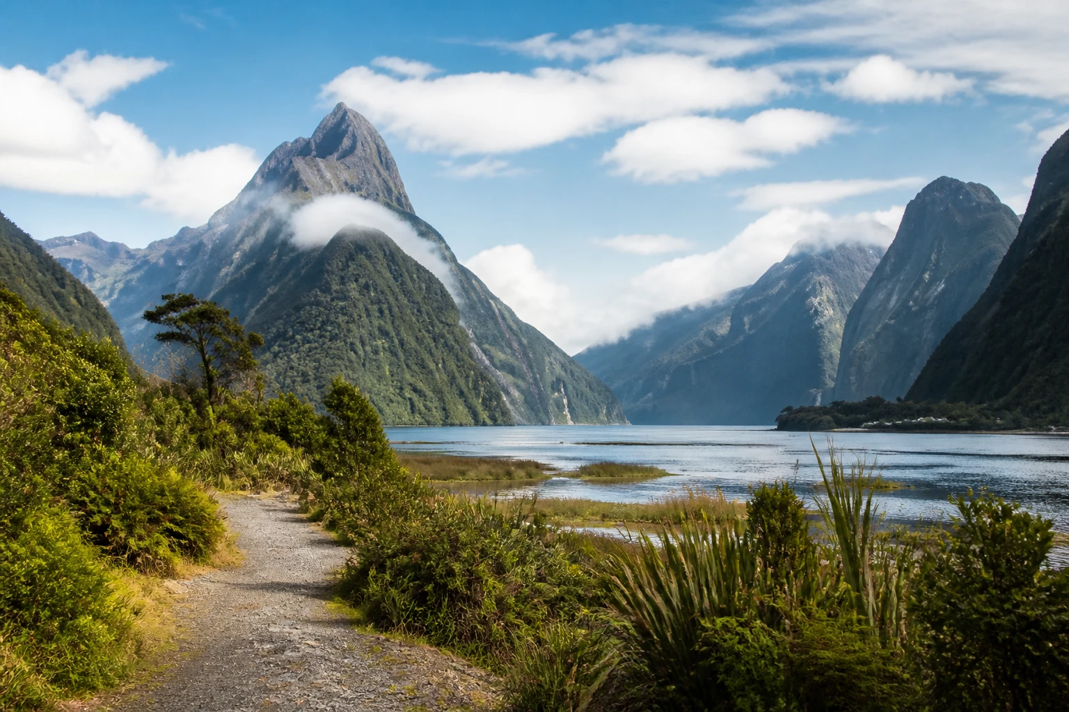 Representative national park destination view: Milford Sound and Fiordland, New Zealand; protected terrain and native vegetation, not an exact landmark photograph.