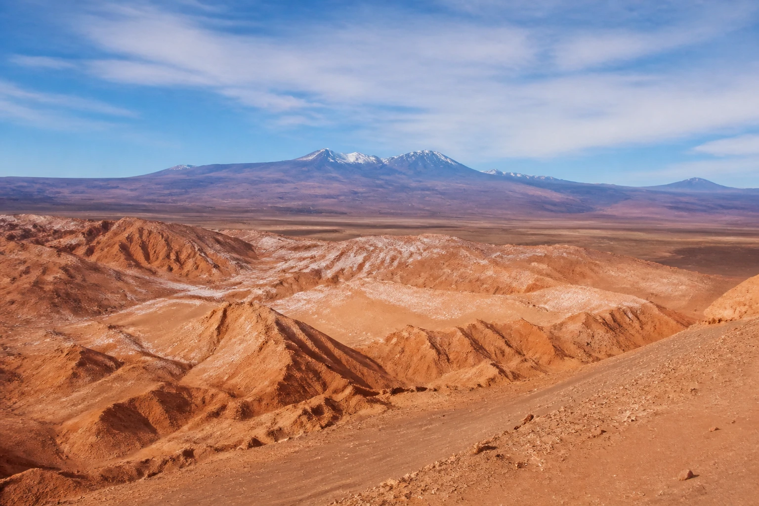 Representative nature destination view: Atacama Desert, Chile; desert terrain and sparse vegetation, not an exact landmark photograph.