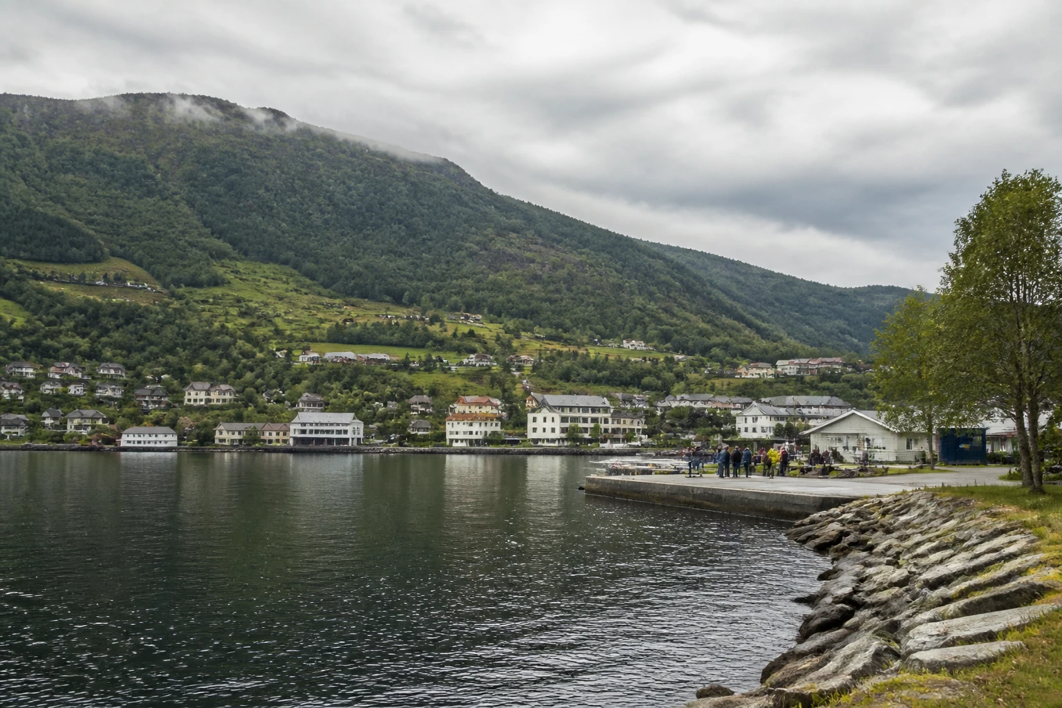 Representative cruise port destination view: Ulvik, Norway; passenger waterfront and harbor water, not an exact landmark photograph.