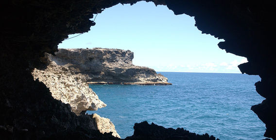 Representative view of Animal Flower Cave for destination wedding guests staying at Sandals Royal Barbados