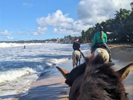 Guided group riding horses beside the ocean on a beach excursion from San Juan, Puerto Rico