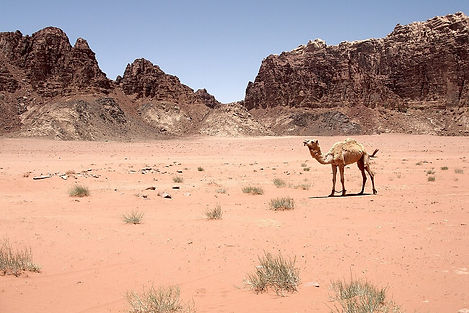 Wadi Rum, a destination or experience featured on the Jordan Escape Globus tour