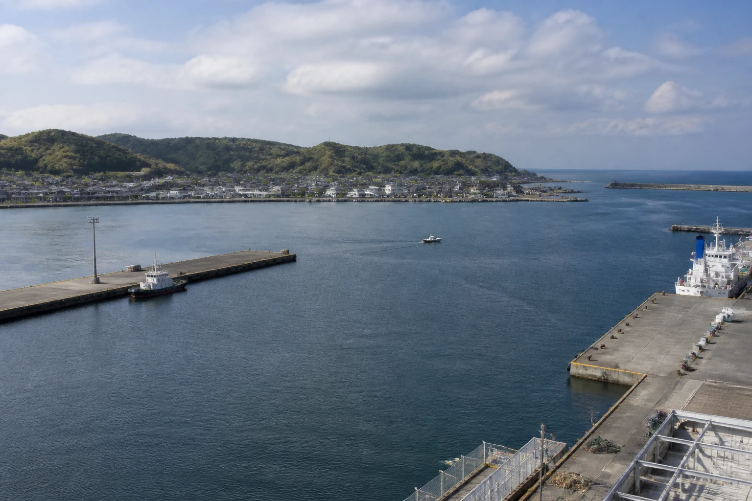 Representative cruise port destination view: Omaezaki, Japan; passenger waterfront and harbor water, not an exact landmark photograph.