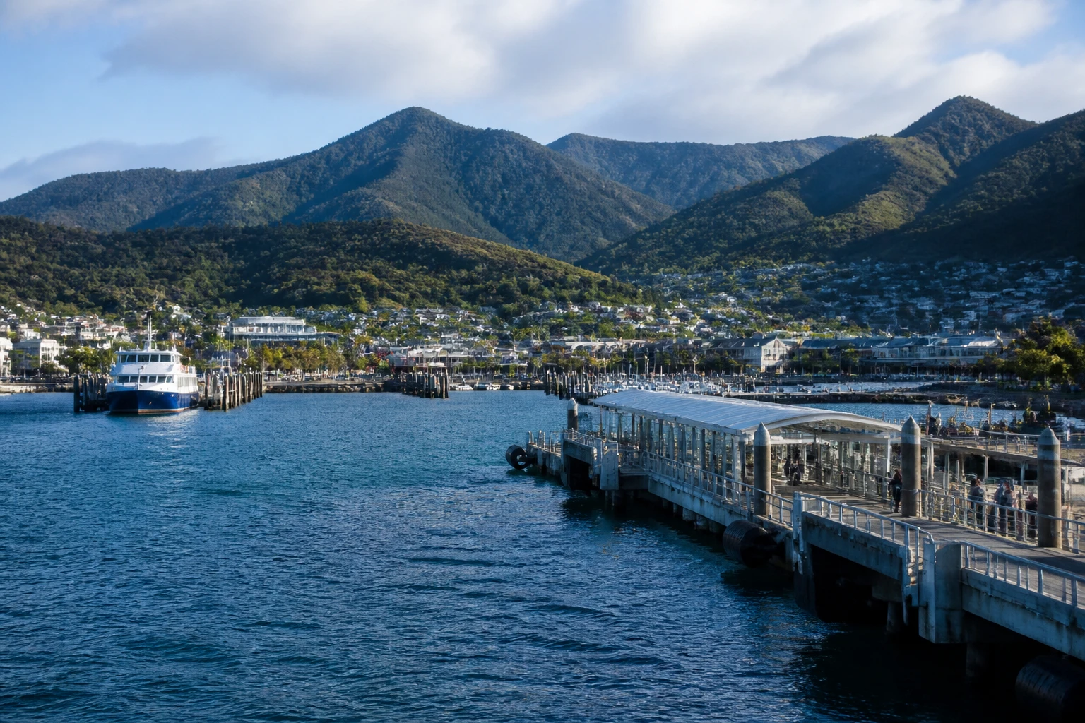 Representative cruise port destination view: Picton, New Zealand; passenger waterfront and harbor water, not an exact landmark photograph.