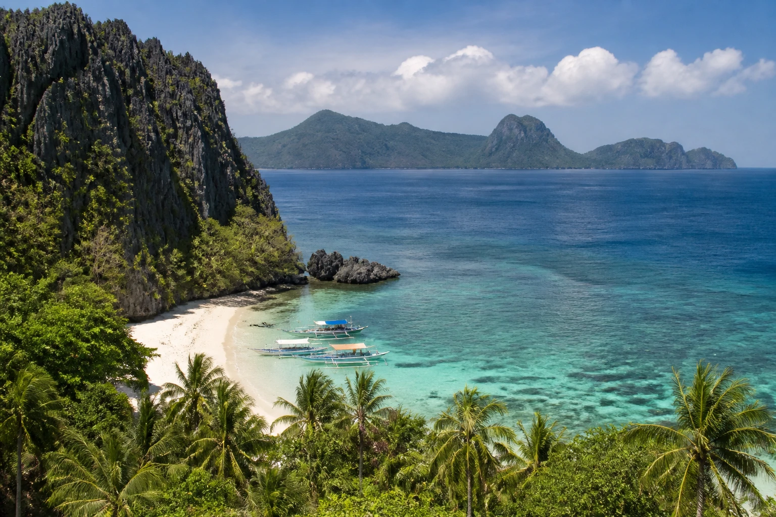 Representative island destination view: Palawan, Philippines; coastline and regional vegetation, not an exact landmark photograph.