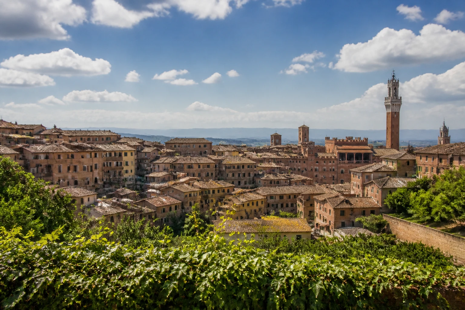 Representative historic city destination view: Siena, Italy; heritage-scale streetscape and regional architecture, not an exact landmark photograph.