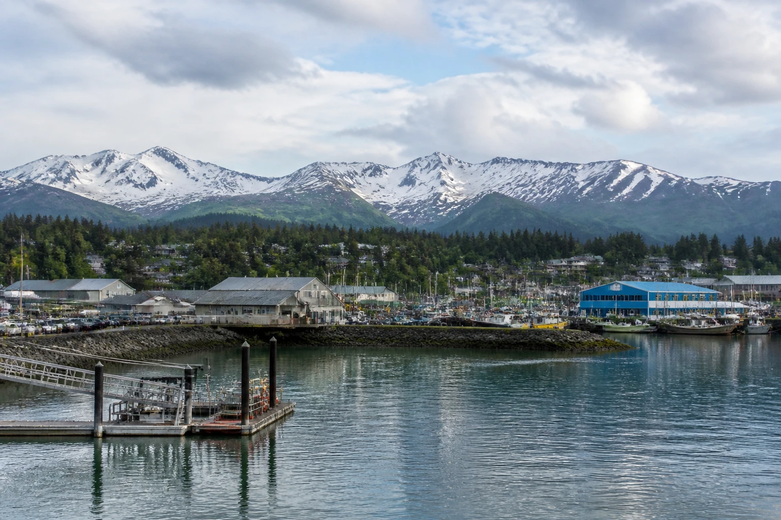 Representative cruise port destination view: Homer, United States; passenger waterfront and harbor water, not an exact landmark photograph.