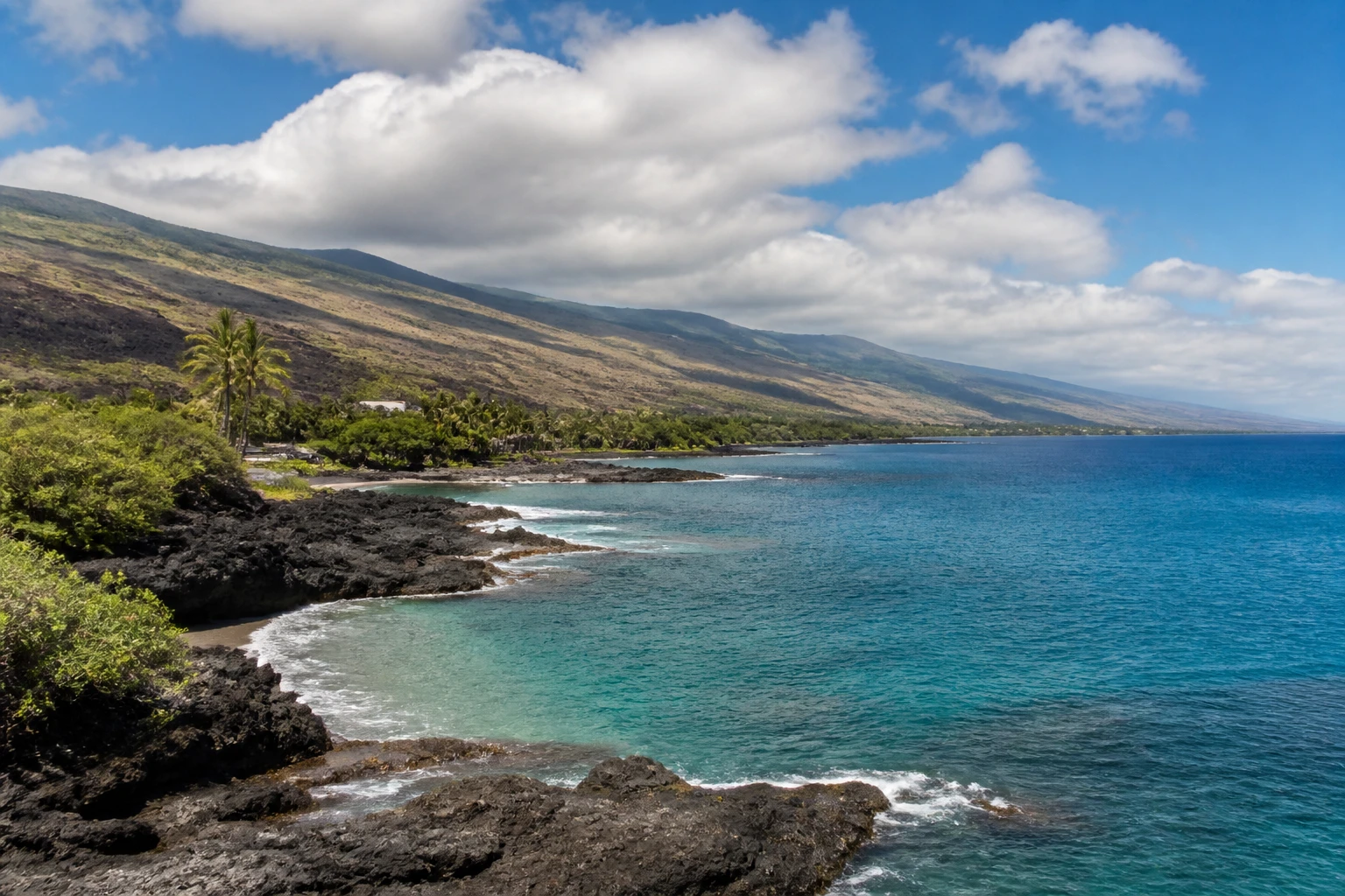 Representative island destination view: Hawaii Island, United States; coastline and regional vegetation, not an exact landmark photograph.