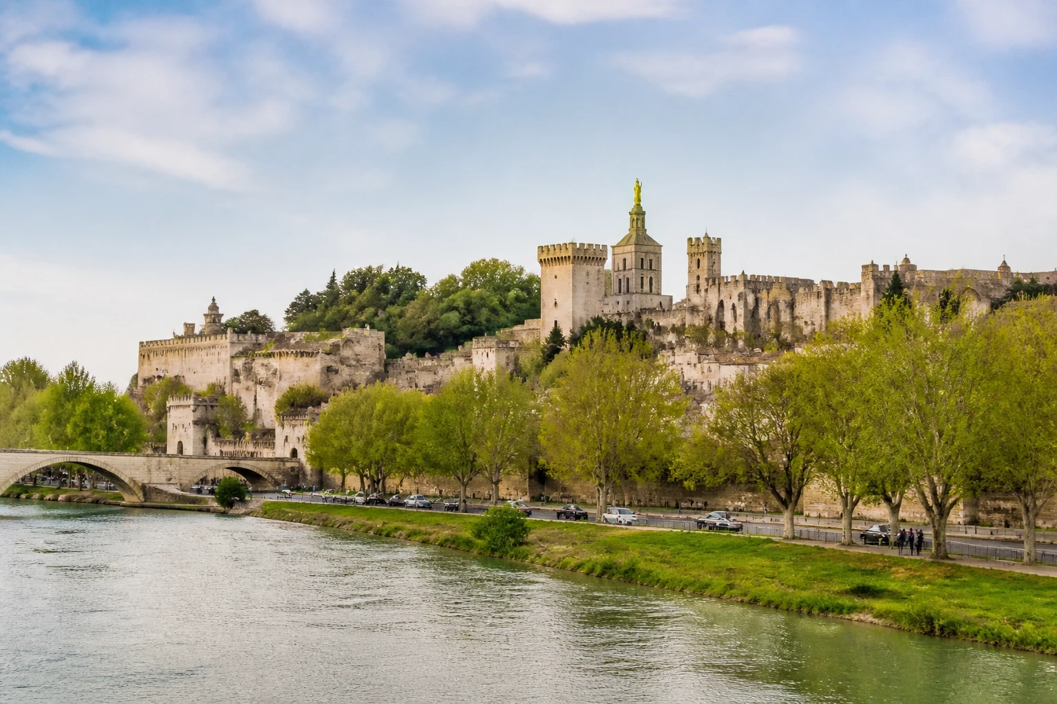 Representative river destination view: Avignon, France; inland water, regional terrain, and vegetation, not an exact landmark photograph.