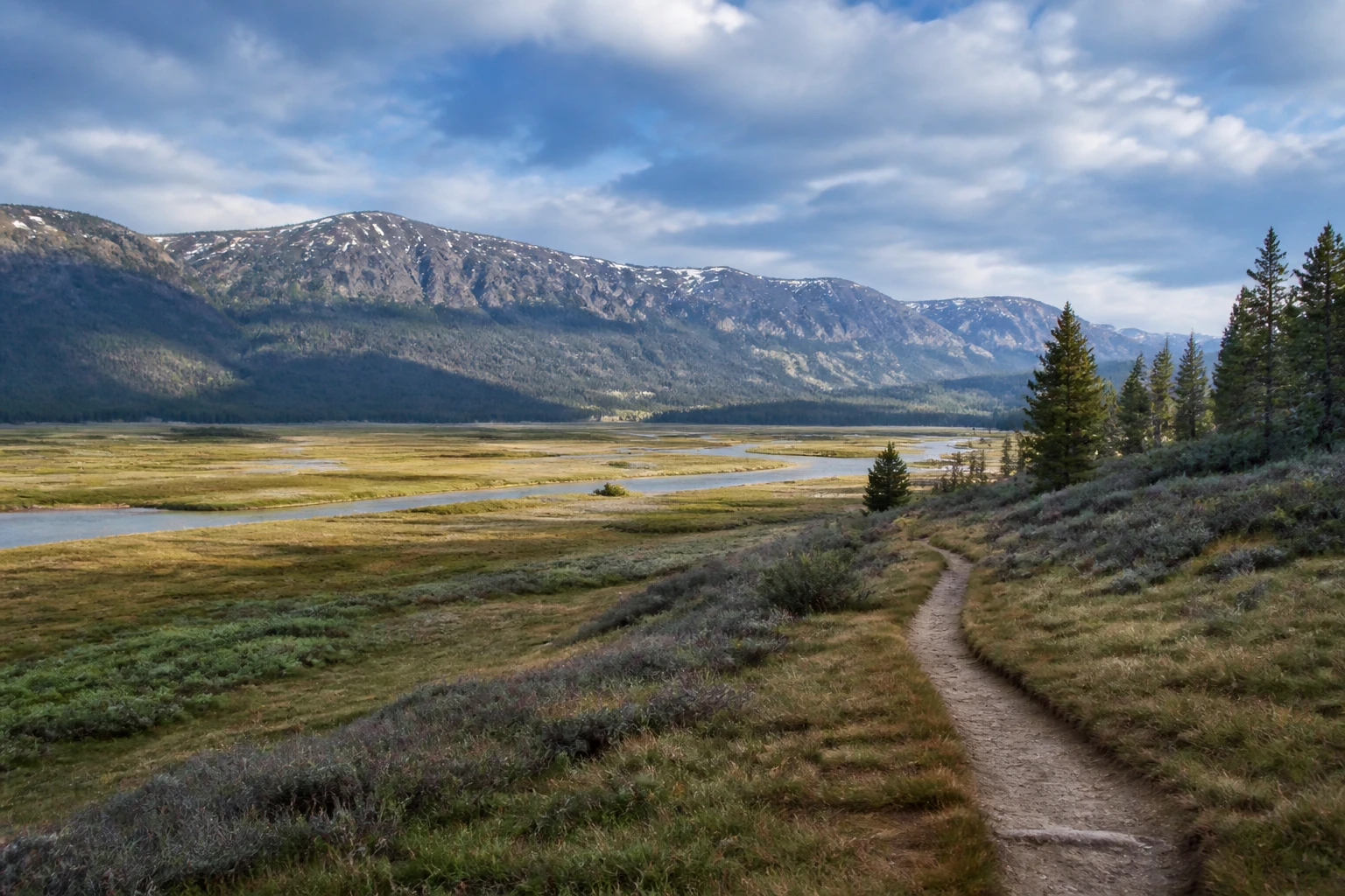 Representative national park destination view: Yellowstone National Park, United States; protected terrain and native vegetation, not an exact landmark photograph.