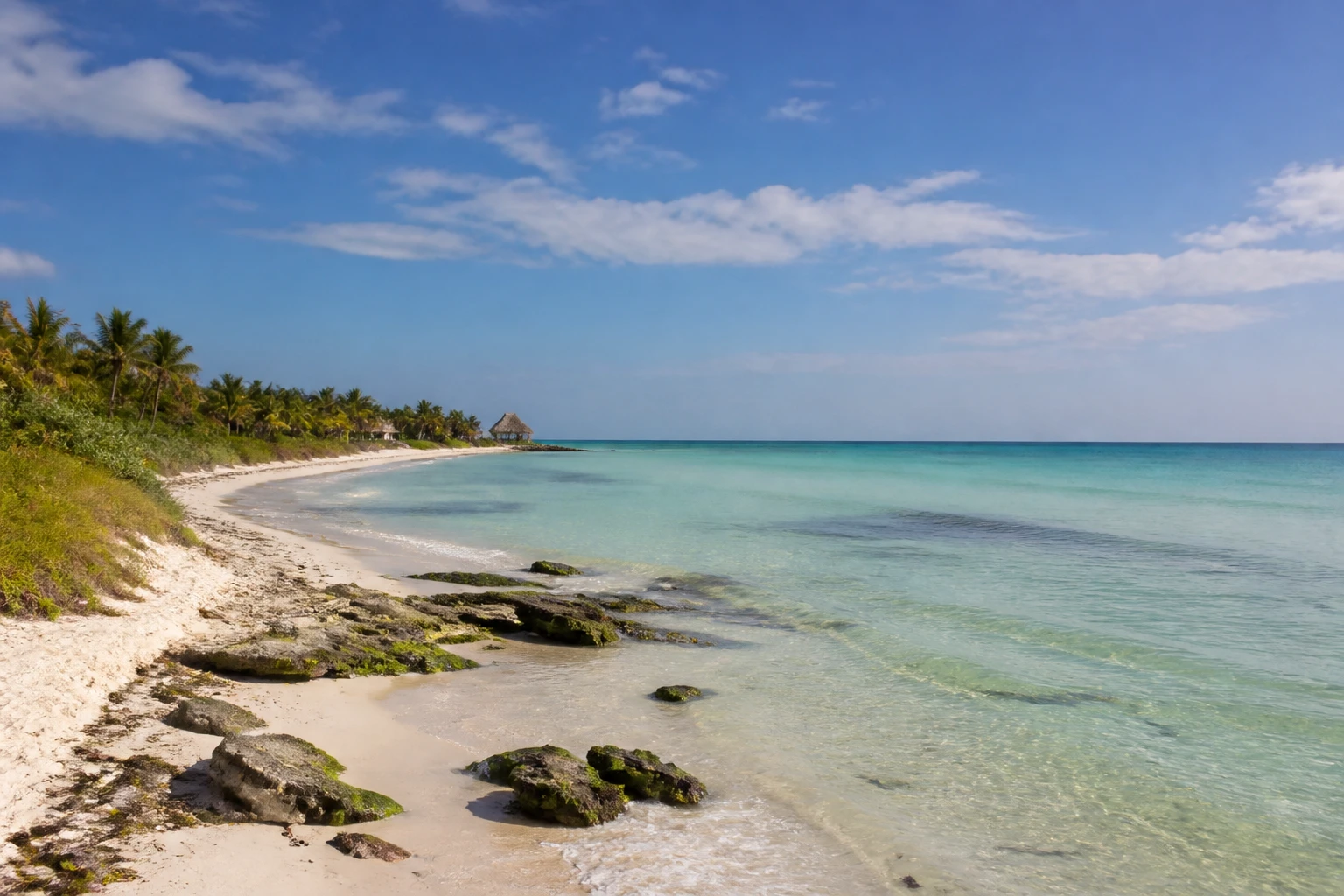 Representative island destination view: Holbox, Mexico; coastline and regional vegetation, not an exact landmark photograph.