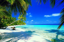 Tropical white sand beach with palm trees, clear turquoise water, and a bright blue sky.