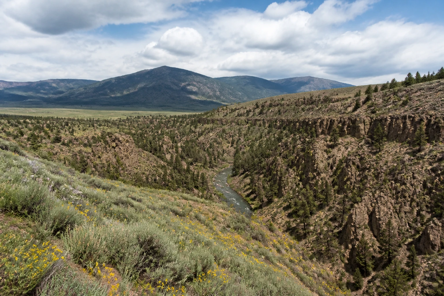 Representative mountain destination view: Taos, United States; mountain or canyon terrain and regional vegetation, not an exact landmark photograph.