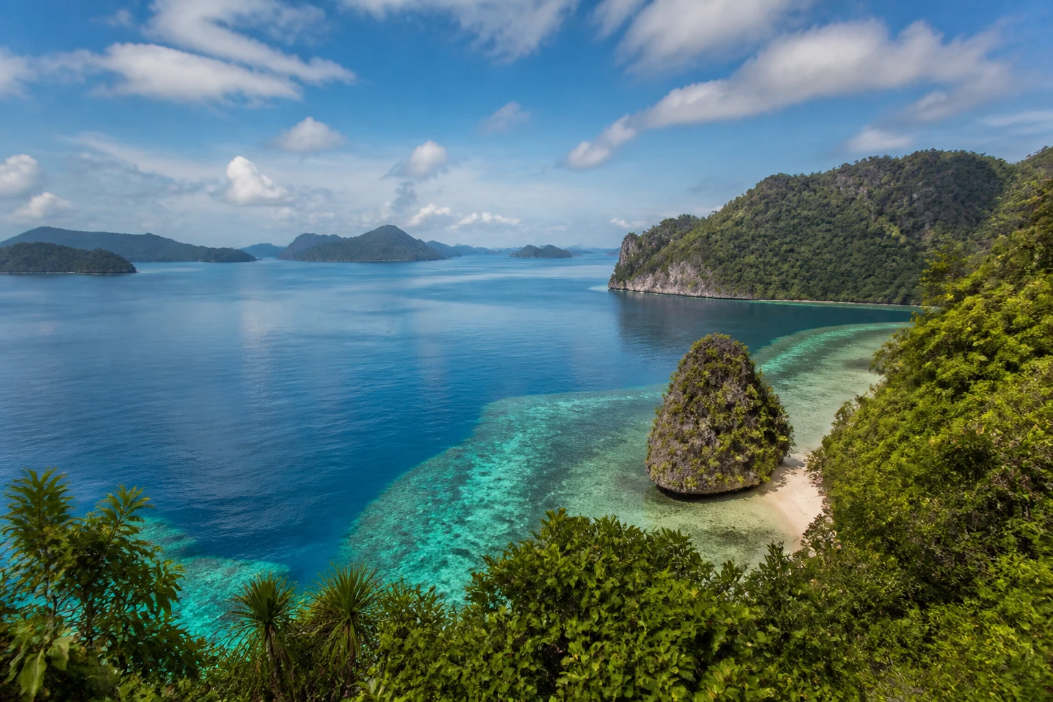 Representative island destination view: Raja Ampat, Indonesia; coastline and regional vegetation, not an exact landmark photograph.
