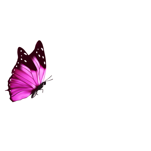 mariposa 