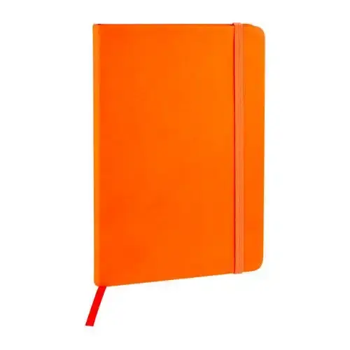 Miniatura: Cuaderno ejecutivo para captura de información relevante