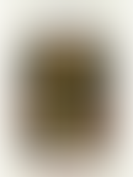 book cover of The Wedding by Dorothy West