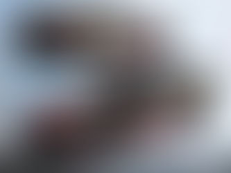 All-Star Race (Texas) Advance