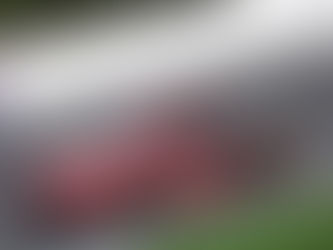 New Hampshire Post-Race