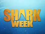 Shark-Week-Discovery-_edited.jpg