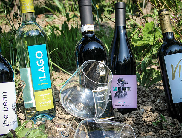 Shooting photo de vins du monde avec des verres de vins