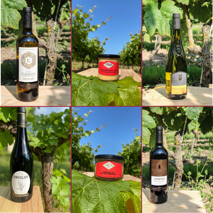 Box de démarrage Vin / épicerie