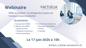 Webinaire ORSA en pratique : du pilotage des risques aux nouveaux enjeux prudentiels