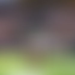 Texas A&M Rolls Past Mississippi State Behind Marcel Reed’s Stellar Performance.