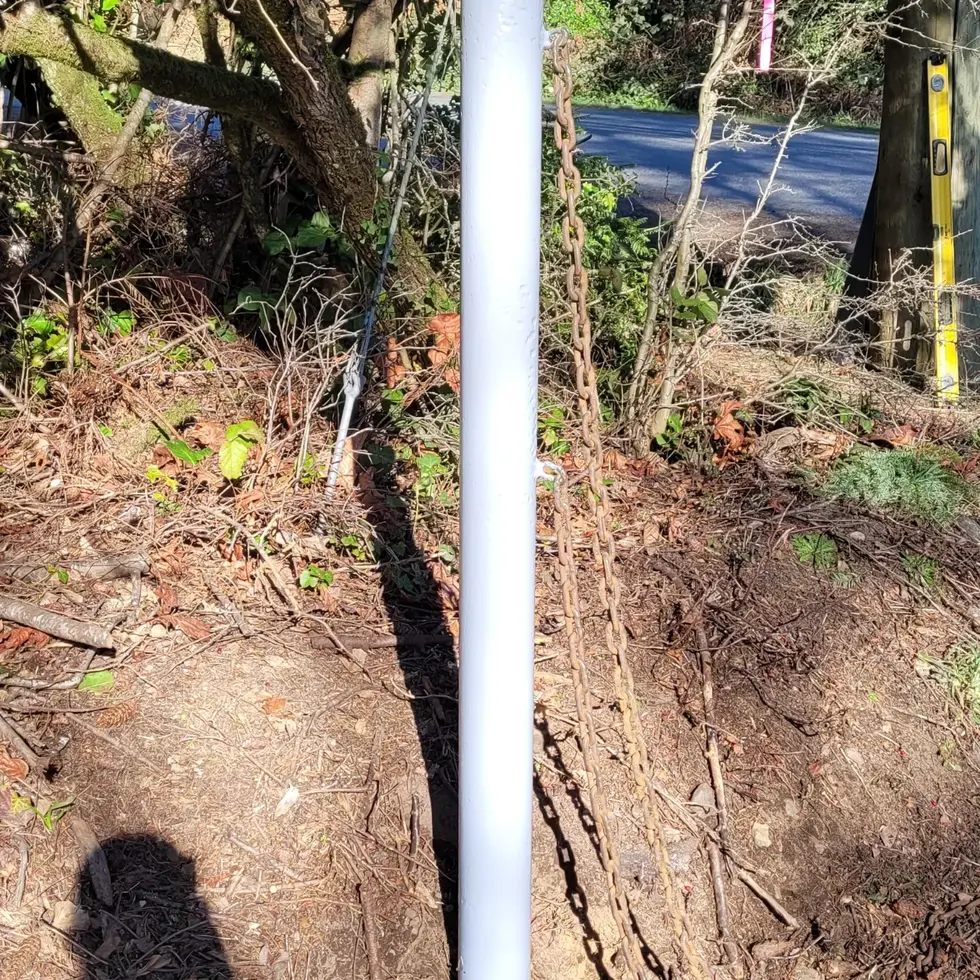 IMG_20220217_063859_702