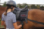 Thumbnail: Equiband BungeeBand Equine Bands Bum Bands