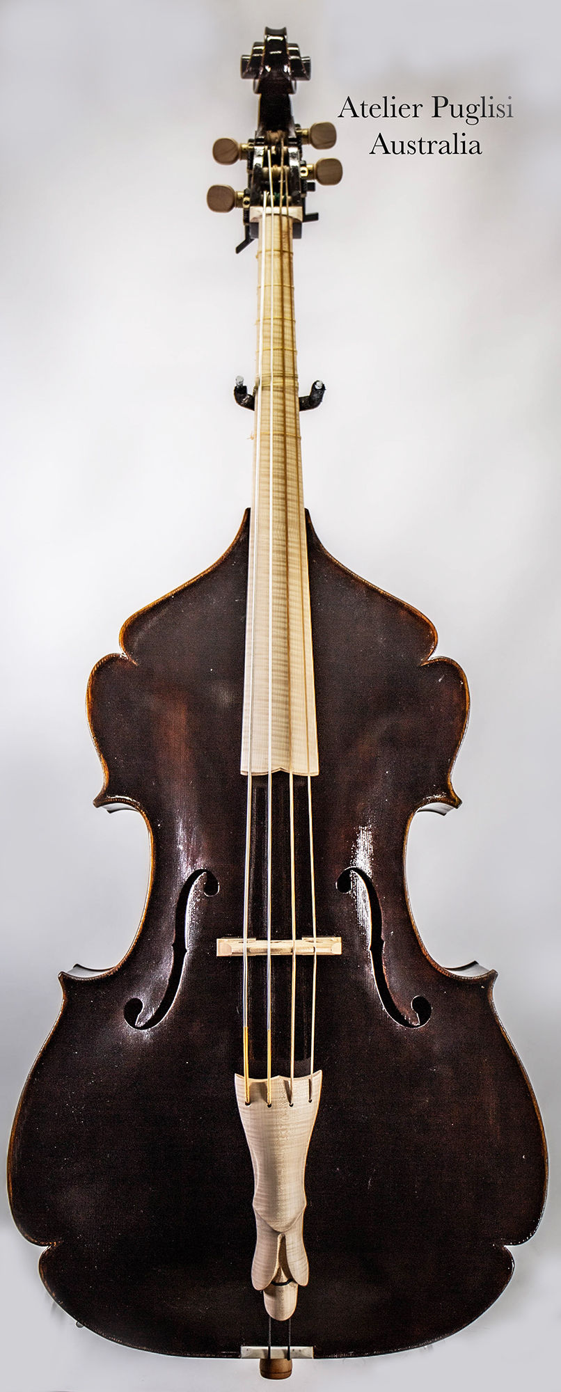 Thumbnail: "Festoon", 3/4 D.Bass