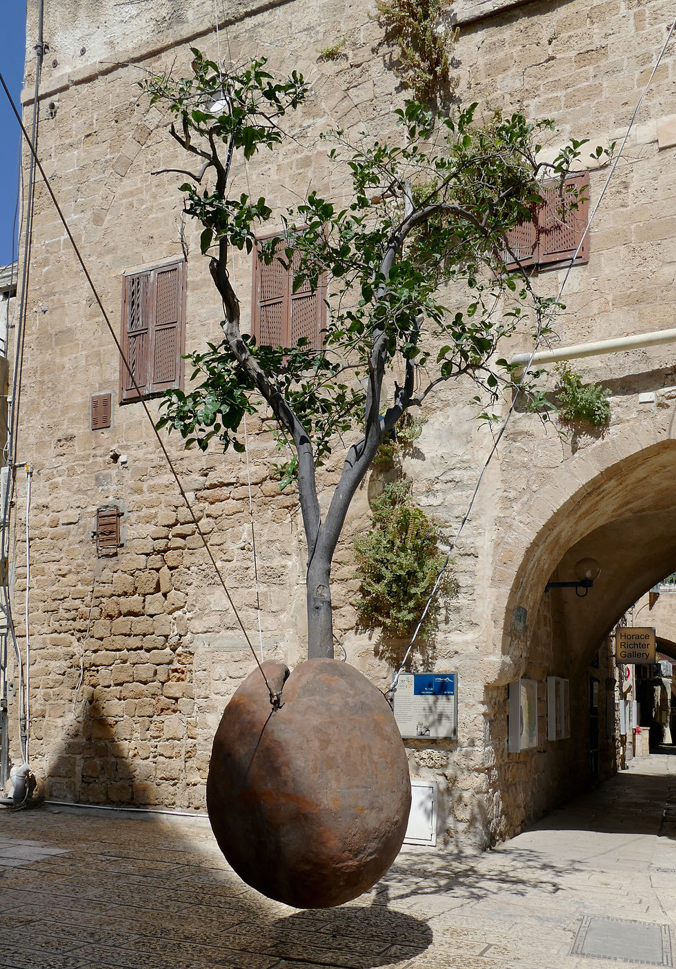 Der schwebende Orangenbaum, private Stadtführungen auf Deutsch in Tel Aviv-Jaffa