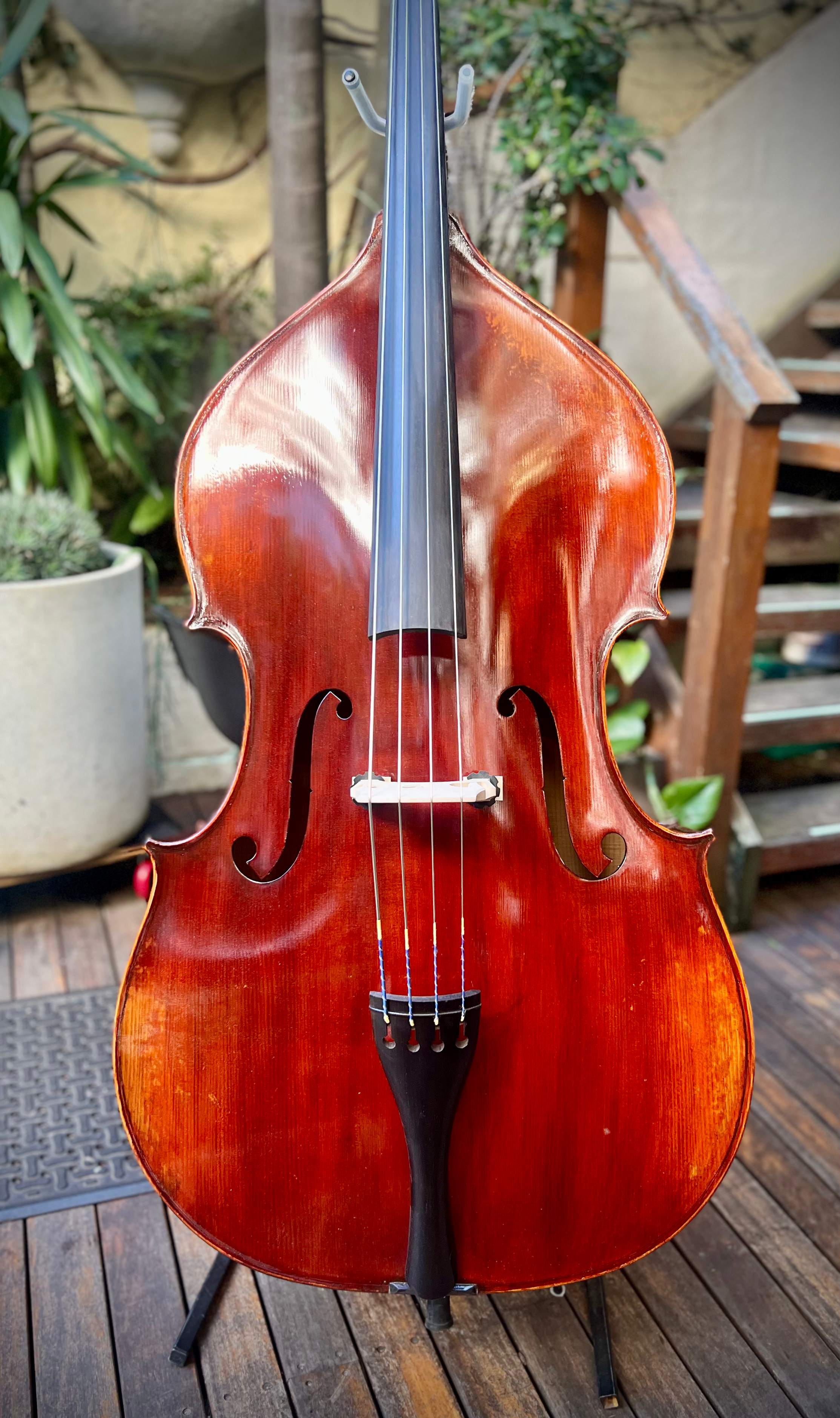 Eastman Jean Pierre Lupot "Violin Corners" VB501VL34CES DELUXE, 3/4 D.Bass
