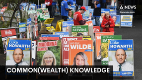 Common(wealth) Knowledge #21: The Constitution and corflutes