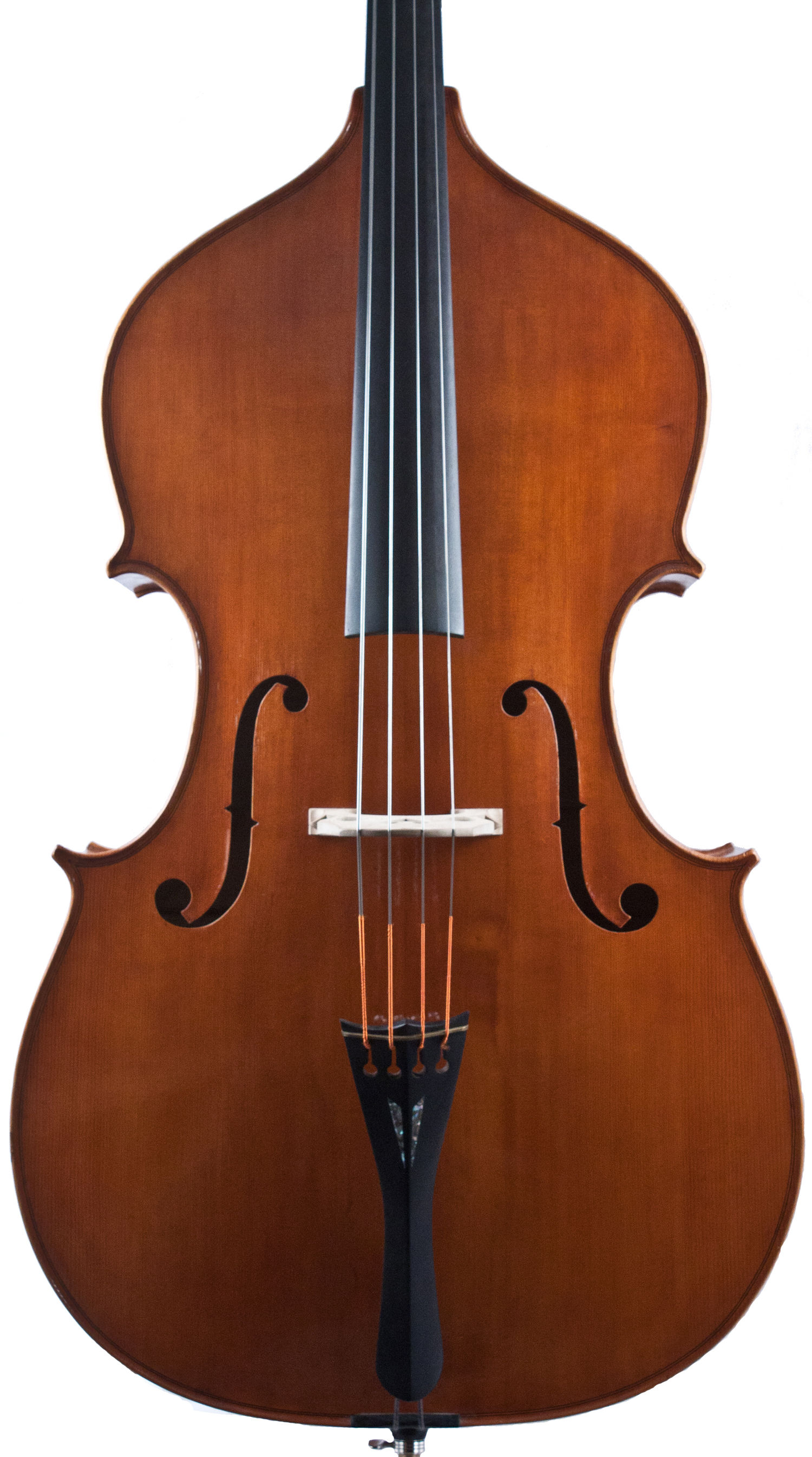 Puglisi - "Grenadier" Panormo IV