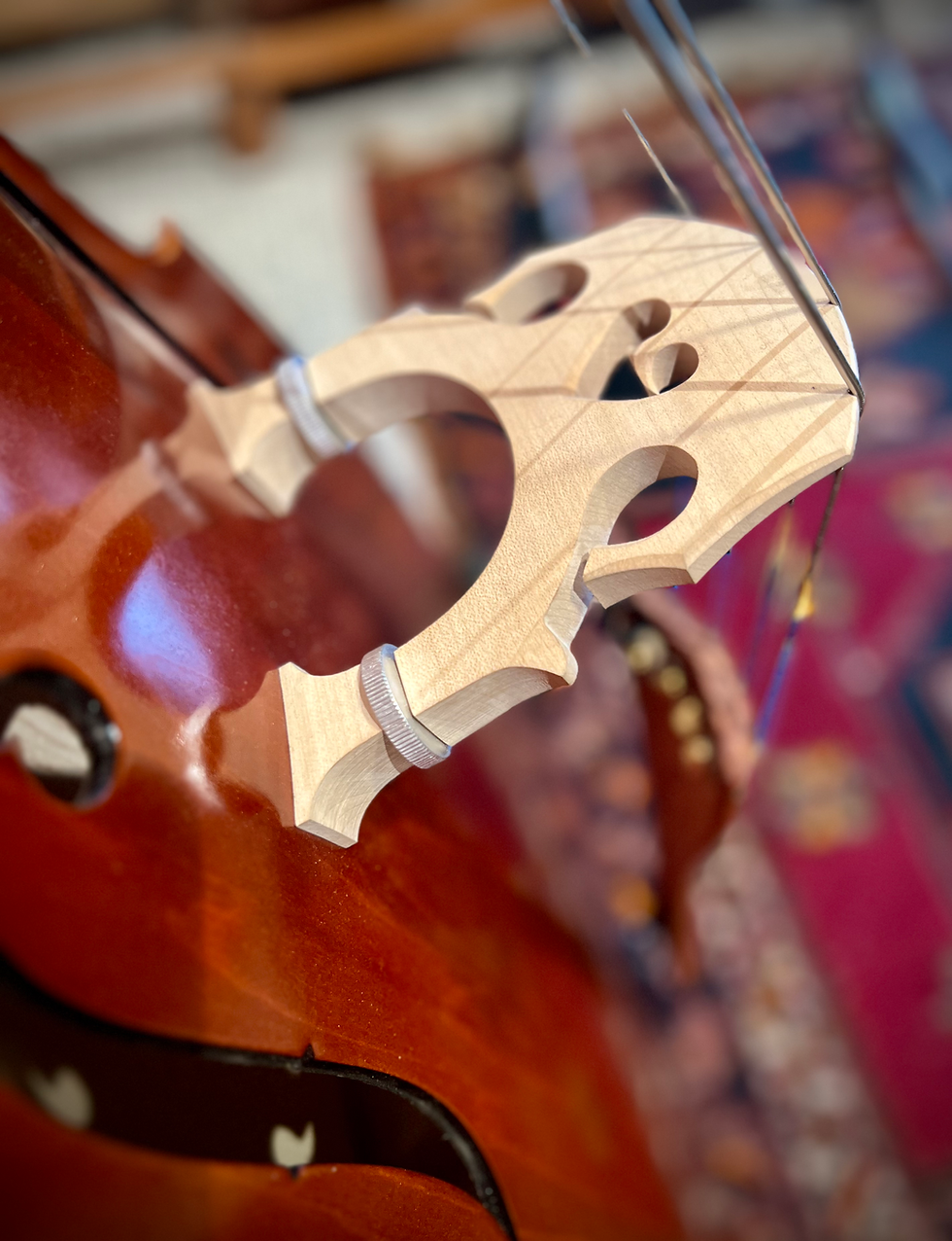 Thumbnail: Samuel Eastman VB50, 3/4 D.Bass