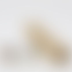 お買い物は9月中がお得!