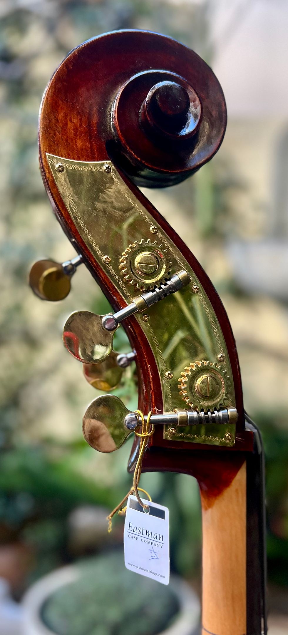 Thumbnail: Eastman Jean Pierre Lupot "Violin Corners" VB501VL34CES DELUXE, 3/4 D.Bass