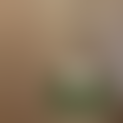 Select Grade Wood Flooring