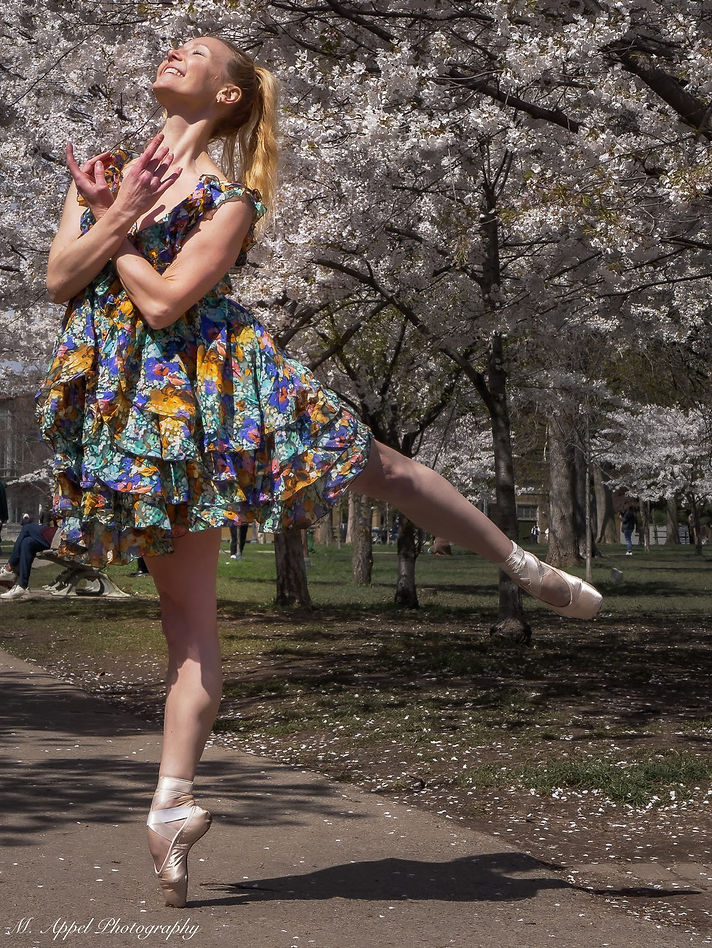 New Pointe Strengthening Photo-classes.JPG